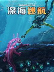 珠海哪里衣服便宜又好